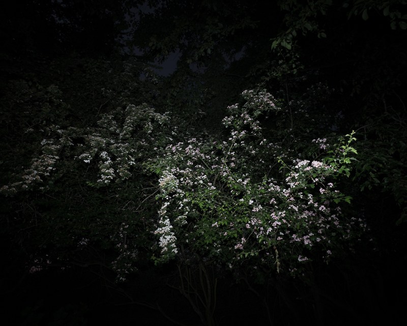 《岬角的梦想》黑夜艺术摄影欣赏