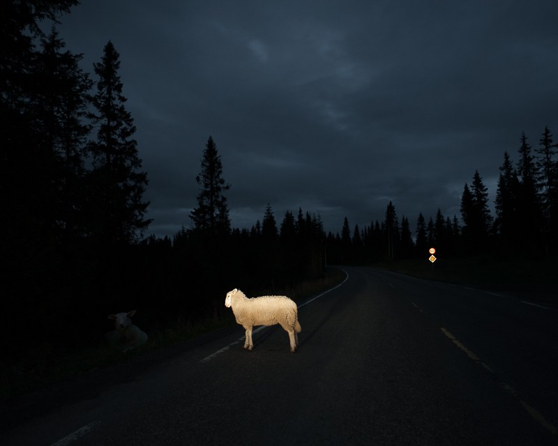 《岬角的梦想》黑夜艺术摄影欣赏