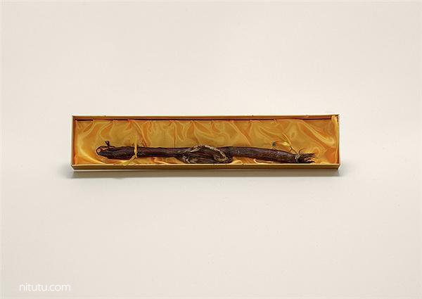 美国女摄影师Taryn Simon摄影作品:违禁品