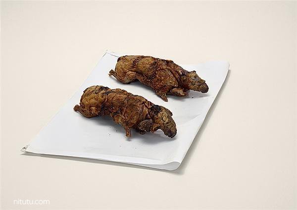 美国女摄影师Taryn Simon摄影作品:违禁品