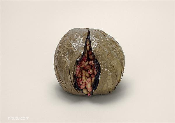 美国女摄影师Taryn Simon摄影作品:违禁品