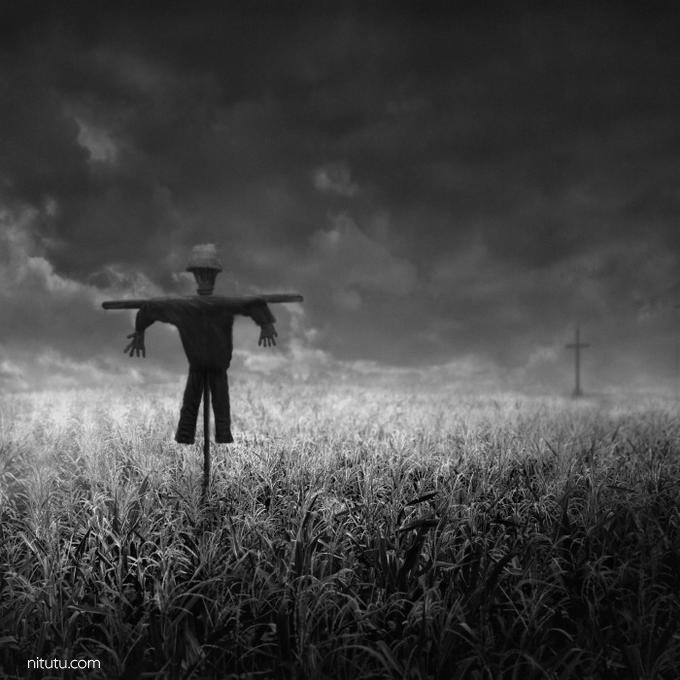 当视线所及只剩黑白 你会感到恐惧还是平静？