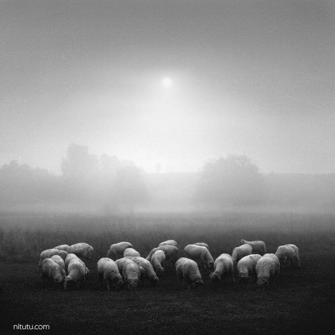 当视线所及只剩黑白 你会感到恐惧还是平静？