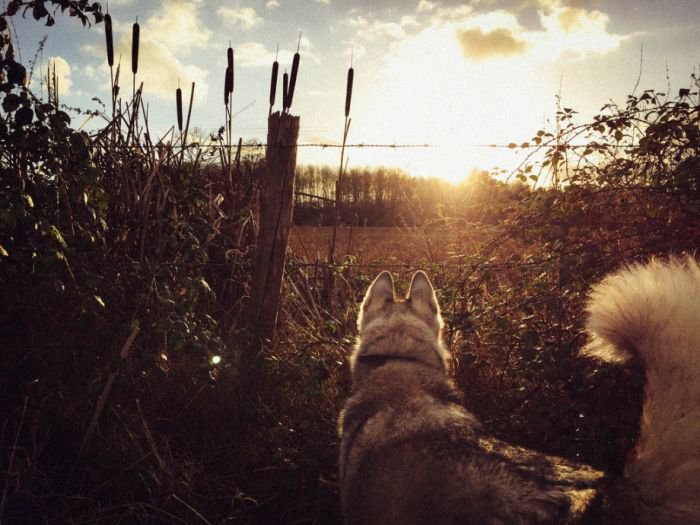 摄影师Guillaume Gaubert 旅拍摄影作品