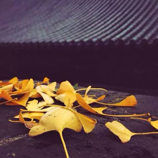 西安终南山古观音禅寺:刹那芳华