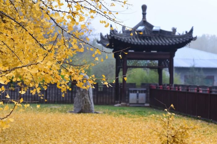 西安终南山古观音禅寺:刹那芳华