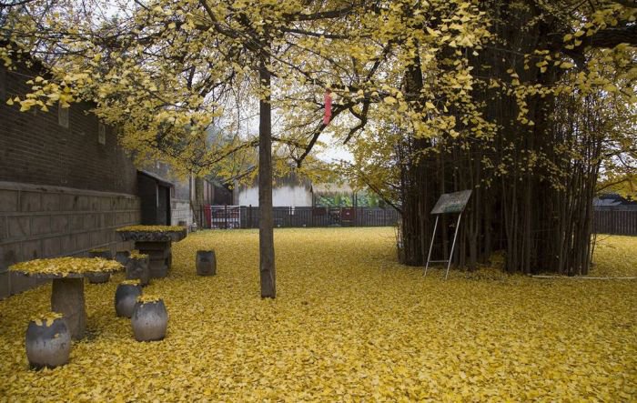 西安终南山古观音禅寺:刹那芳华