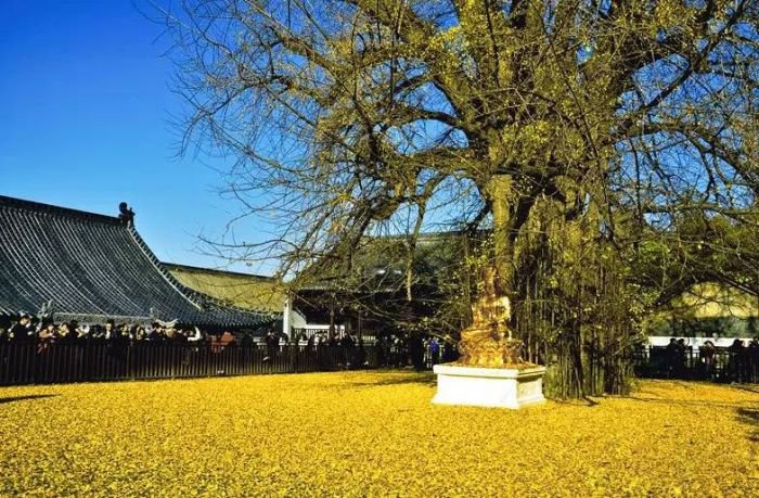 西安终南山古观音禅寺:刹那芳华