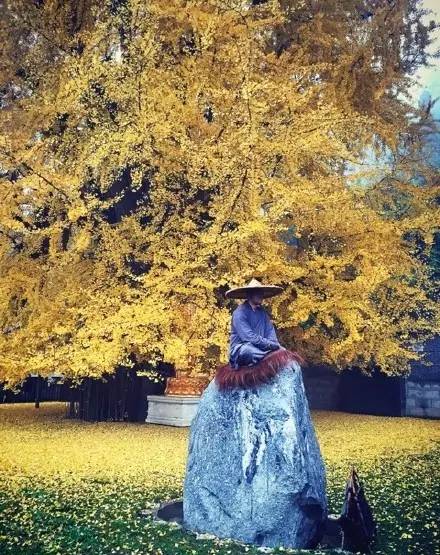 西安终南山古观音禅寺:刹那芳华