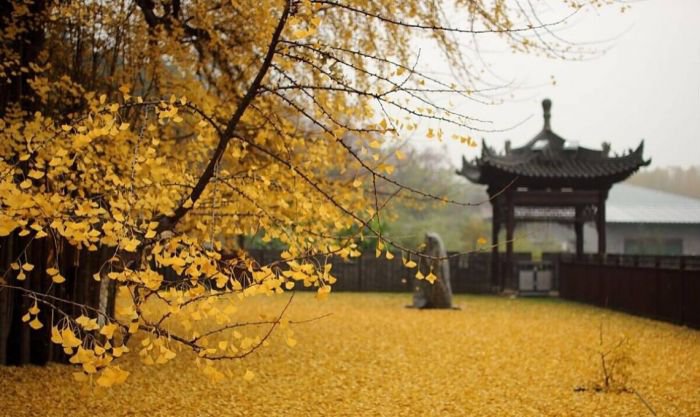 西安终南山古观音禅寺:刹那芳华