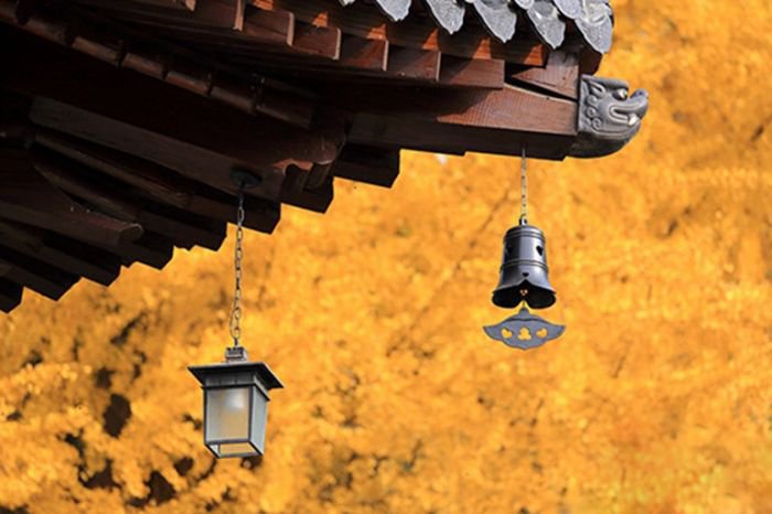 西安终南山古观音禅寺:刹那芳华