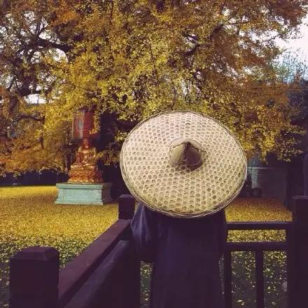 西安终南山古观音禅寺:刹那芳华