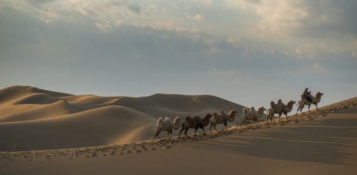 库布其：沙漠中望见夜空中的星