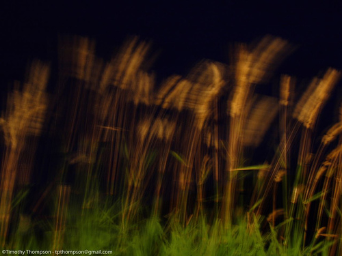 10个入门摄影技巧 拍出漂亮风光照