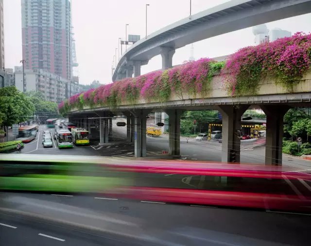摄影师Martin Roemers:七十亿人口的日常生态