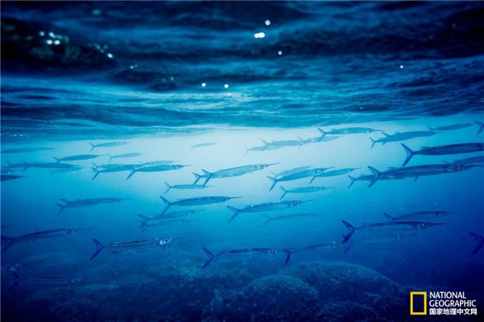 2025美国《国家地理》全球摄影大赛中国区获奖作品