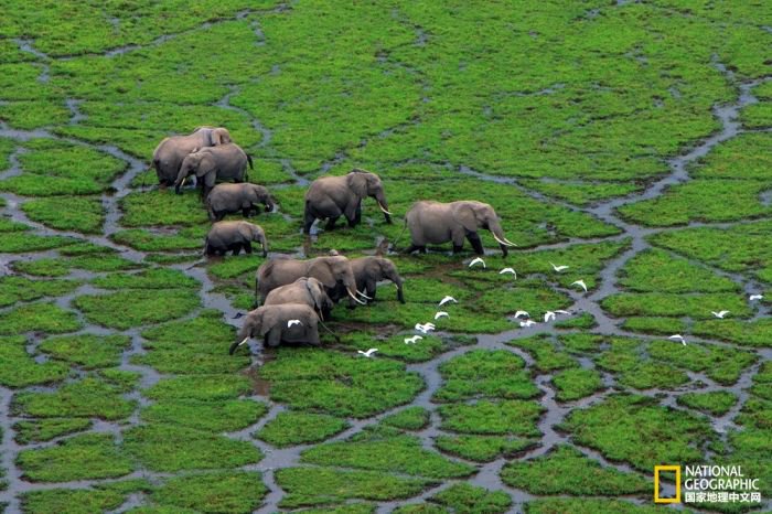 2025美国《国家地理》全球摄影大赛中国区获奖作品