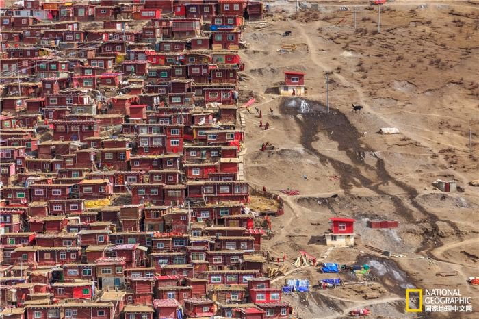 2025美国《国家地理》全球摄影大赛中国区获奖作品