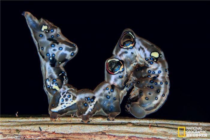 2025美国《国家地理》全球摄影大赛中国区获奖作品