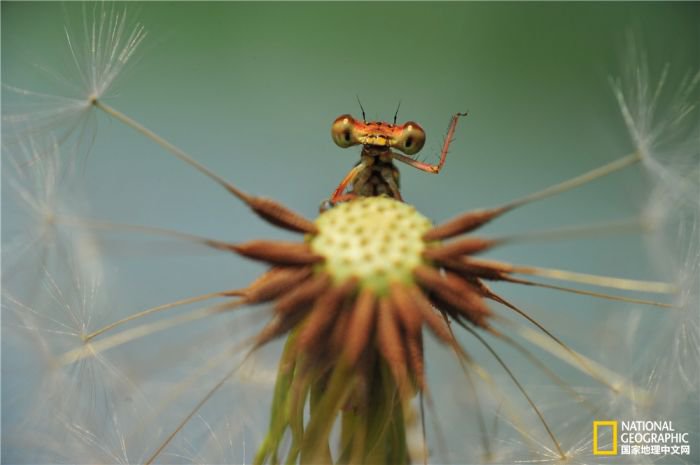 2025美国《国家地理》全球摄影大赛中国区获奖作品