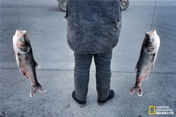 2025美国《国家地理》全球摄影大赛中国区获奖作品