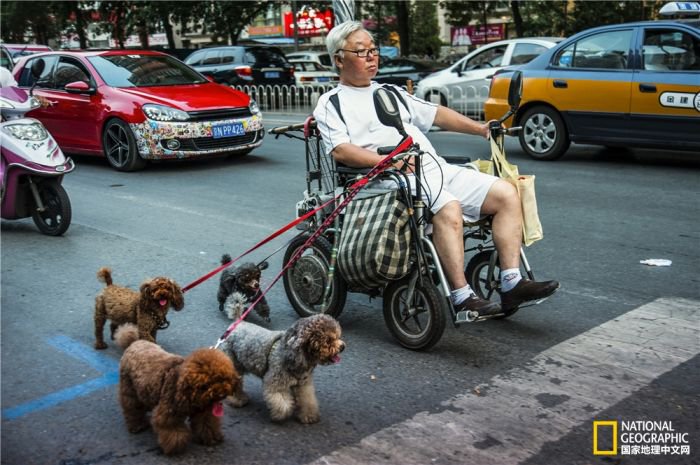 2025美国《国家地理》全球摄影大赛中国区获奖作品