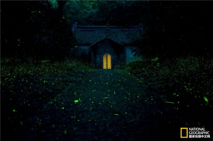 2025美国《国家地理》全球摄影大赛中国区获奖作品