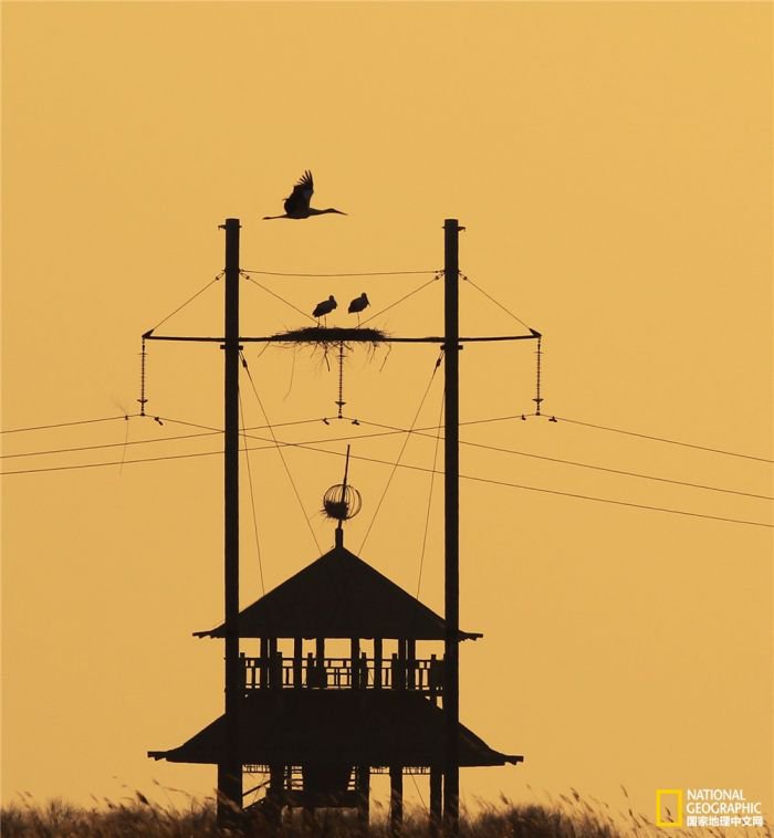2025美国《国家地理》全球摄影大赛中国区获奖作品