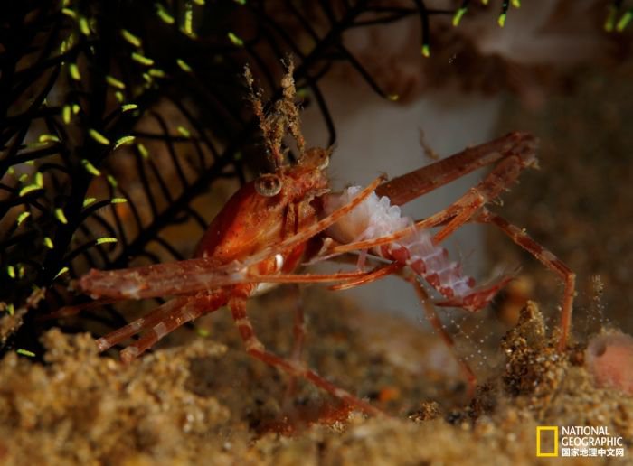 2025美国《国家地理》全球摄影大赛中国区获奖作品