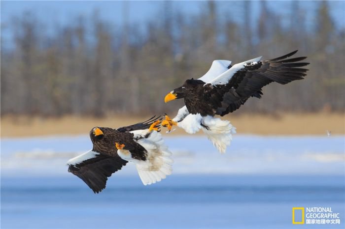 2025美国《国家地理》全球摄影大赛中国区获奖作品