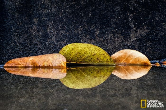 2025美国《国家地理》全球摄影大赛中国区获奖作品