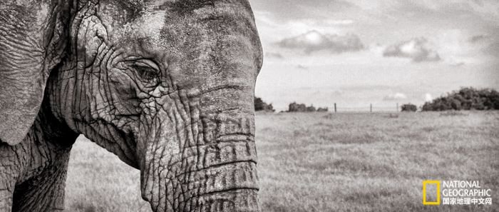 2025美国《国家地理》全球摄影大赛中国区获奖作品