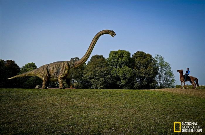 2025美国《国家地理》全球摄影大赛中国区获奖作品