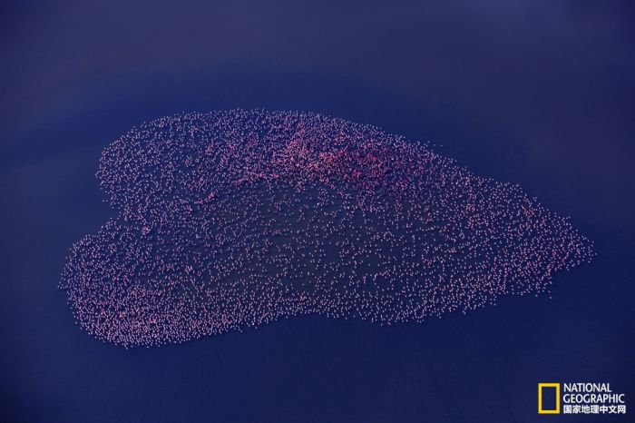 2025美国《国家地理》全球摄影大赛中国区获奖作品