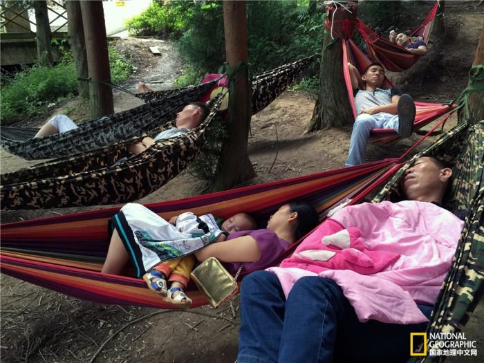 2025美国《国家地理》全球摄影大赛中国区获奖作品