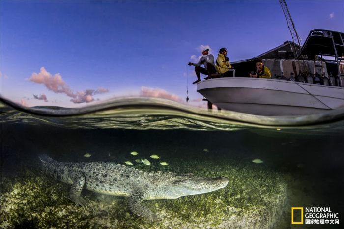 2025美国《国家地理》全球摄影大赛中国区获奖作品