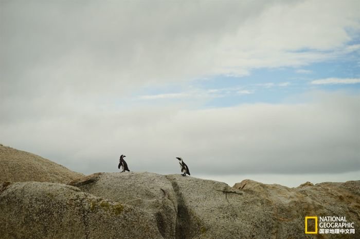 2025美国《国家地理》全球摄影大赛中国区获奖作品