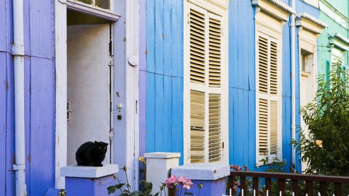 聚焦在这些真正的色彩城市