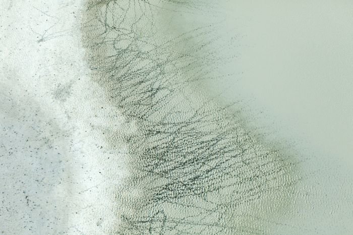 美国摄影师Zack Seckler 摄影作品欣赏