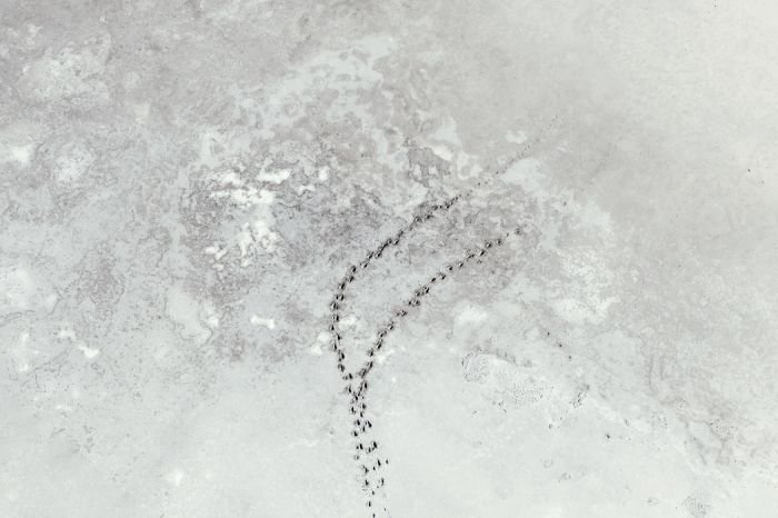 美国摄影师Zack Seckler 摄影作品欣赏