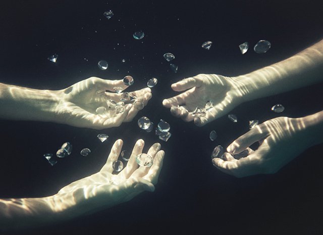 摄影师Brendon Burton 丛林漫游记