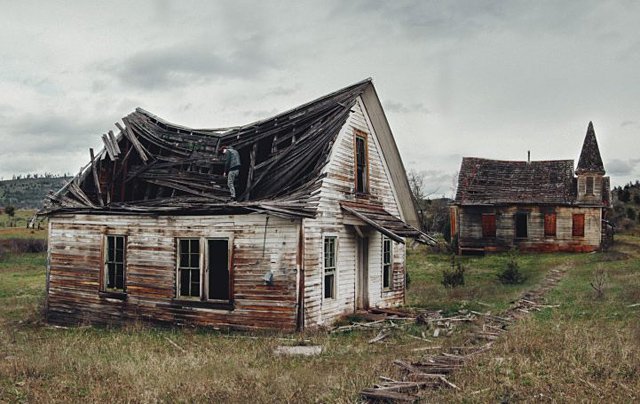 摄影师Brendon Burton 丛林漫游记