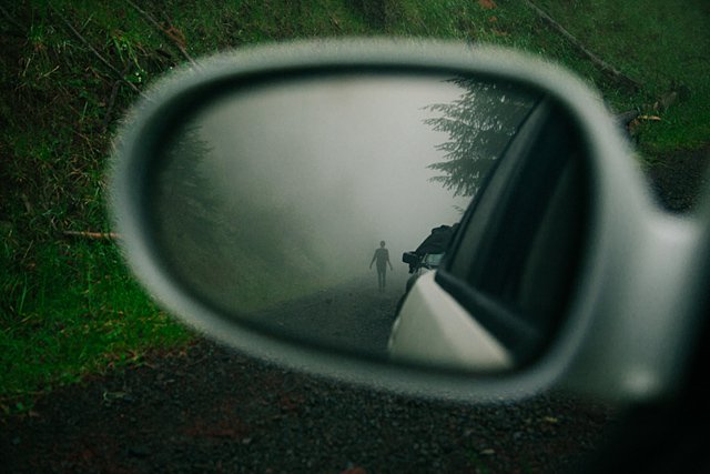 摄影师Brendon Burton 丛林漫游记