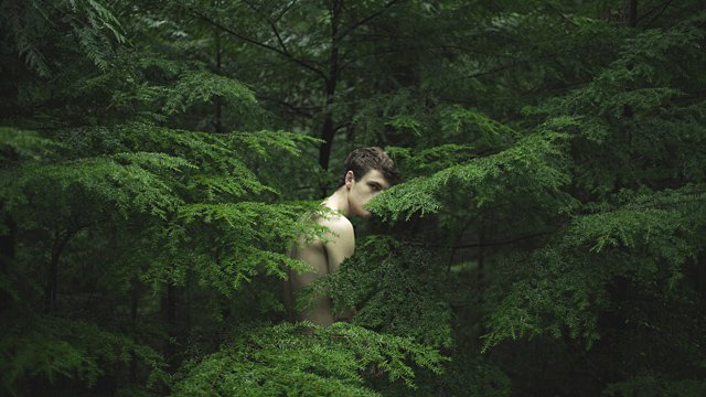 摄影师Brendon Burton 丛林漫游记