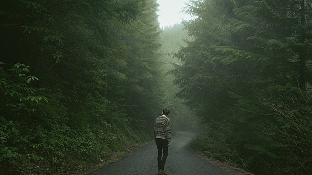 摄影师Brendon Burton 丛林漫游记