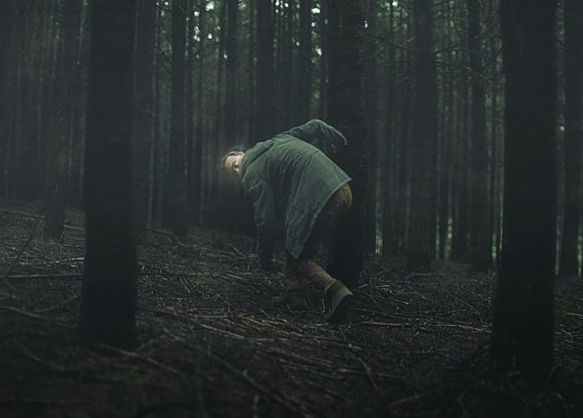 摄影师Brendon Burton 丛林漫游记