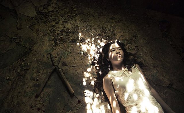 摄影师Brendon Burton 丛林漫游记