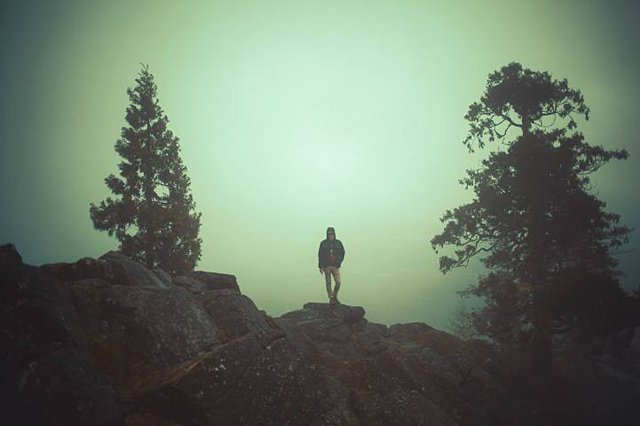 摄影师Brendon Burton 丛林漫游记