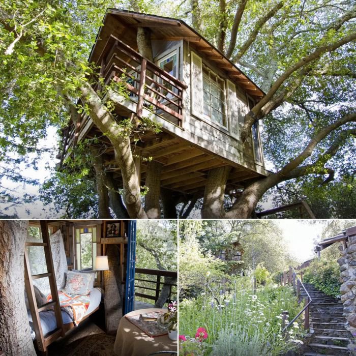Airbnb树屋合集精选 满足你的童年幻想