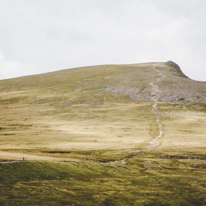 摄影师Daniel Alford： 如何用摄影与自然交流